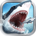 外网有什么好用的软件